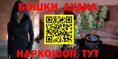 дживик Моздок